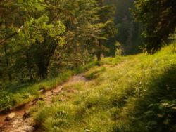2013-07-20_Regina-F-Rau_Kochel-Rabenkopf (465).JPG